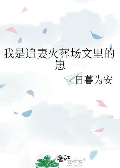 追妻火葬场啥意思的