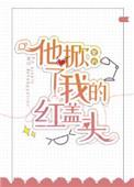 他掀了我的红盖头txt