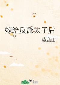 嫁给反派太子后藤鹿山