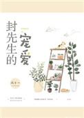 封先生的宠爱txt