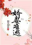 娇妻难逃无弹窗