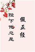 陛下他总是假正经书包