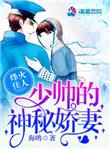 少帅的女人烽火红颜劫