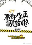 不许再乱放电了
