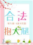 合法抱大腿txt书包网