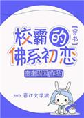校霸的佛系初恋书包网