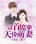 爱你入骨首席总裁