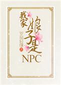 我家娘子是npc百度