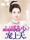 闪婚娇妻陆少的心尖宠