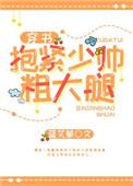 抱紧少帅粗大腿主要讲什么