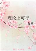 理论上可行讲的是什么
