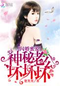 神秘老公不离婚全文免费阅读