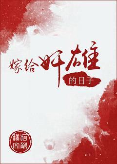 嫁给枭雄的日子讲什么