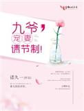 九爷宠妻请节制免费全文