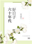 六十年代好日子(晓风圆月)