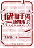 储物手镯也跟来了 作者十尾兔TXT盘
