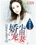 重生九零娇宠小田妻txt