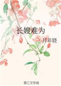 长嫂难当txt