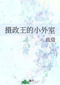 摄政王的小外室番外