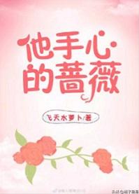 他手心的蔷薇娱乐圈朦荳