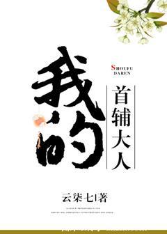我的首辅大人路子野