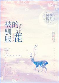 被驯服的象歌词是小s