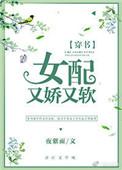 女配又娇又软晋江
