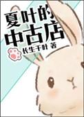 夏叶的中古店TXT