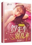 先生别乱来简介