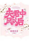 夫君中风以后书评