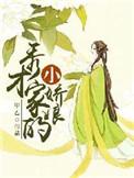 秀才家的小娇娘by甲乙