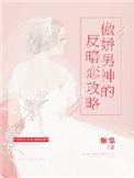 傲娇男神系列