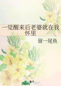 一觉醒来后老婆就在我怀里免费阅读