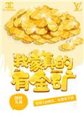 我家真的有金矿无广告