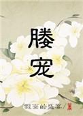 媵宠假面的盛世在线阅读