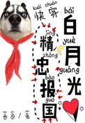白月光精忠报国快穿免费阅读