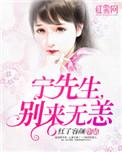 宁先生别来无恙番外