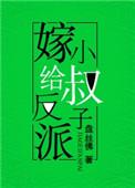 嫁给反派小叔子txt百度