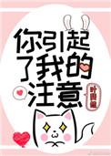 你引起了我的注意介绍