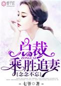 念念不忘总裁乘胜追妻电视剧