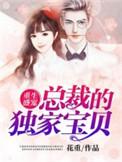 总裁的盛世豪宠豪