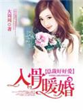 入骨暖婚免费阅读全集