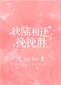 狭陆相逢挽挽胜男主