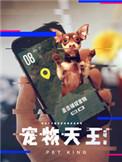 宠物天王哪只宠物死了