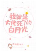 我就是大佬死了的白月光剧透