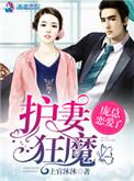 护妻狂魔男主
