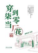 穿到七零年代当厂花格格党