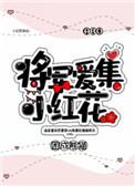 将军爱集小红花by困成熊猫TXT