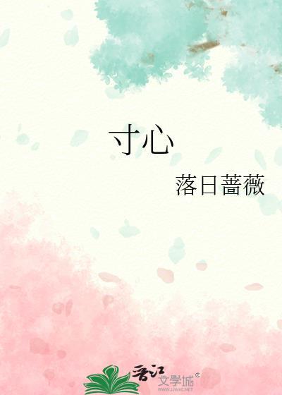 寸心是哪部电视剧的主题曲