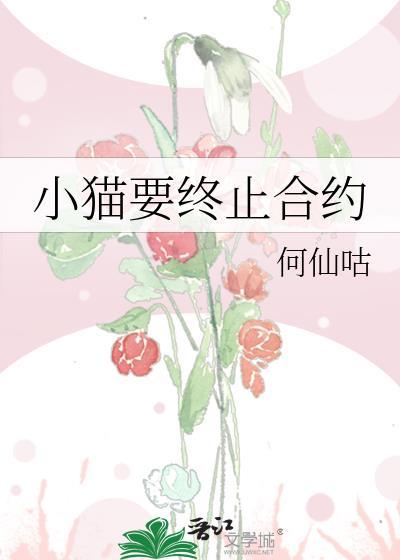 小猫要终止合约by何仙咕txt
